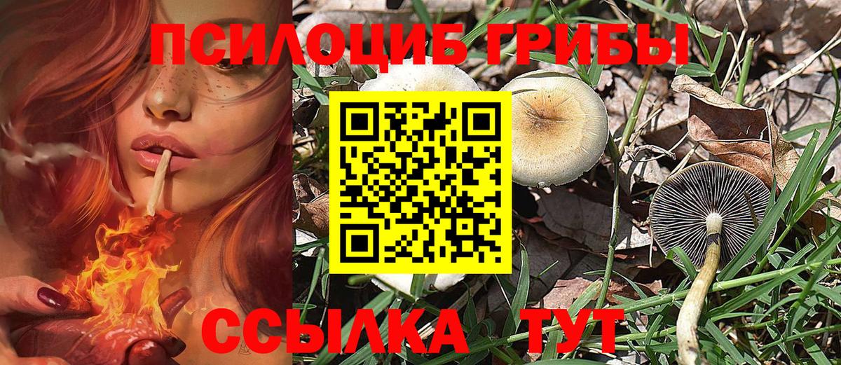 Псилоцибиновые грибы прущие грибы Канаш