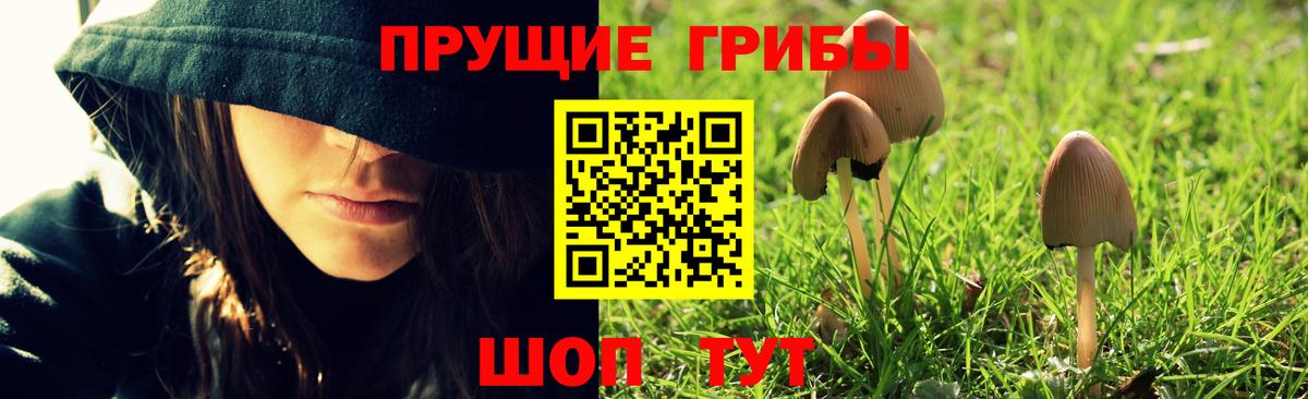 Канаш  Галлюциногенные грибы Psilocybine cubensis  Галлюциногенные грибы мицелий  Вход с VPN 