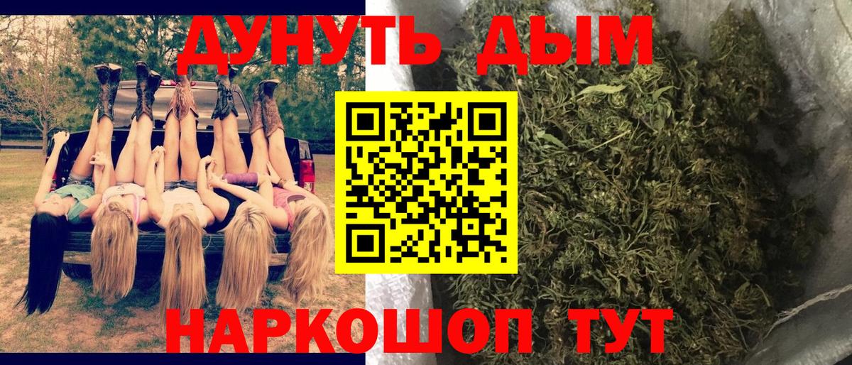 Канабис SATIVA & INDICA Канаш